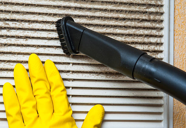 Best Affordable HVAC Duct Cleaning  in Milton, DE